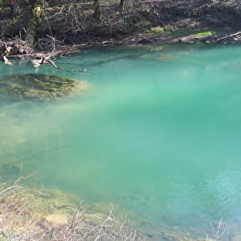La Bocquette et les gorges du Suran - SAINT-MARTIN-DU-MONT