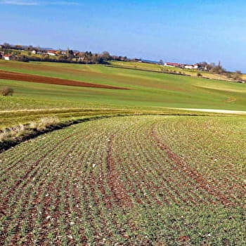 Sentier du Tremblay - FONTENOY