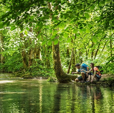 Tour de la Reculée des Planches-Près-Arbois