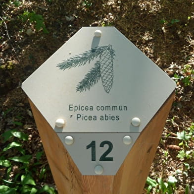 Promenade des Berges du Journans