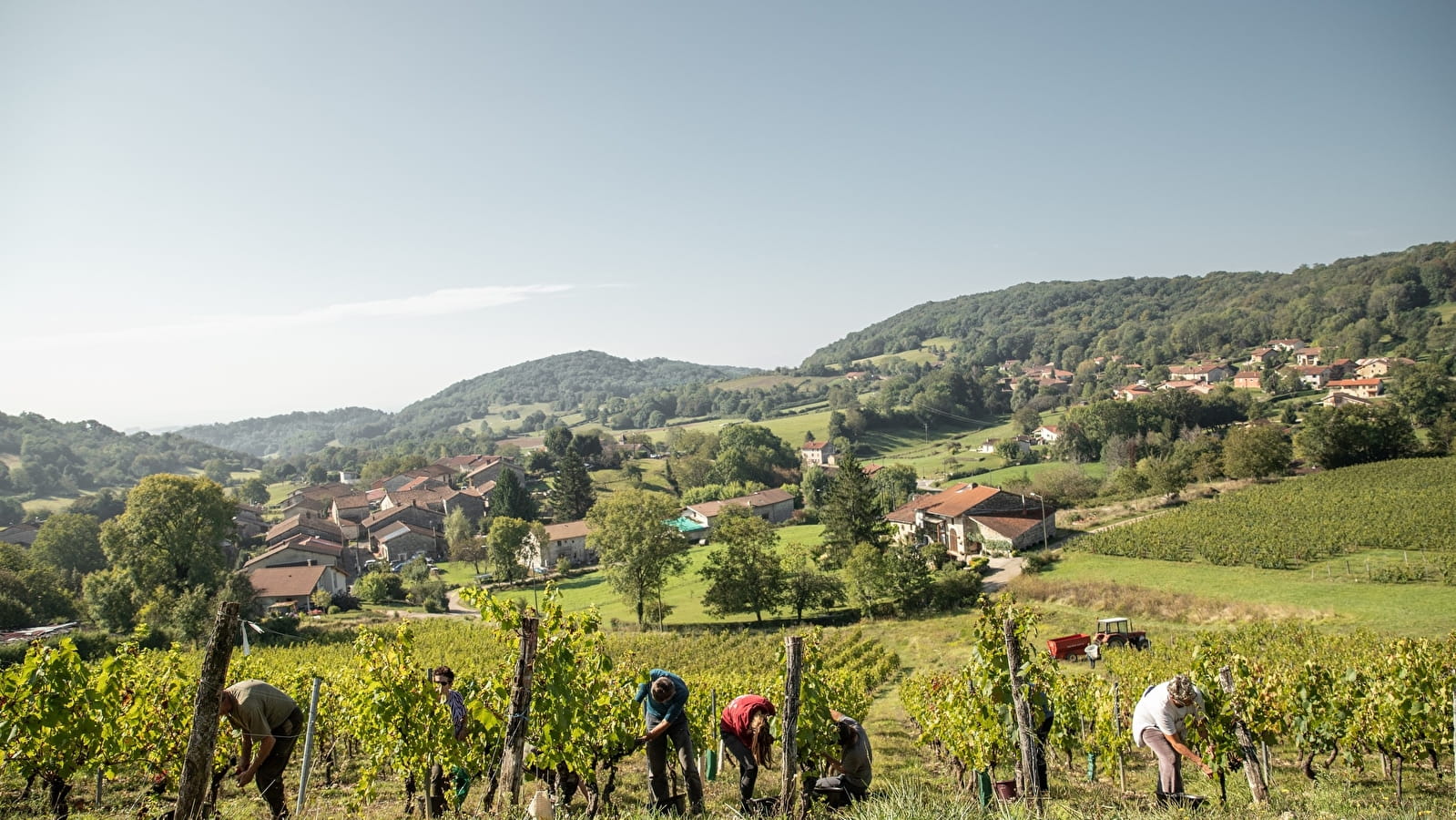 Randonnée - Vignoble du Revermont