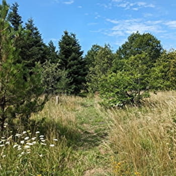 Du chemin de la République au Doubs - BAUME-LES-DAMES