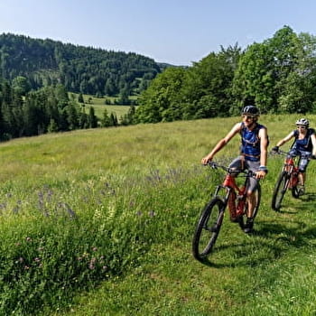 La Bourre - 37B - MIGNOVILLARD