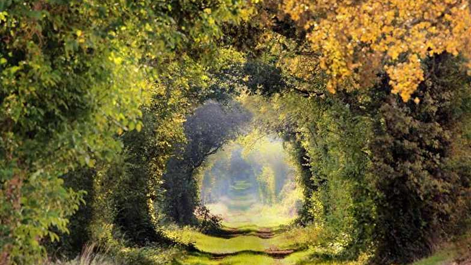  La butte de Test-Milon