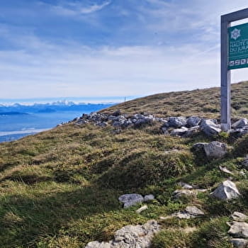 Randonnée itinérante : sur le toit des montagnes du Jura - LELEX