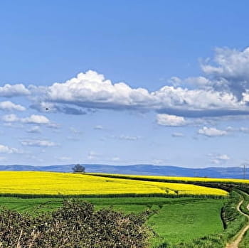 Liaison Châtillon-en-Bazois - Montapas - Étang de Baye Grande boucle - CHATILLON-EN-BAZOIS