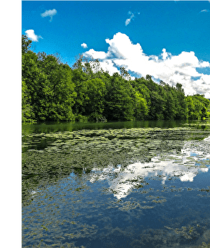 Sentier des Essarts - SAONE