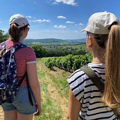 Le Val d'Azé, entre vignes et bocages