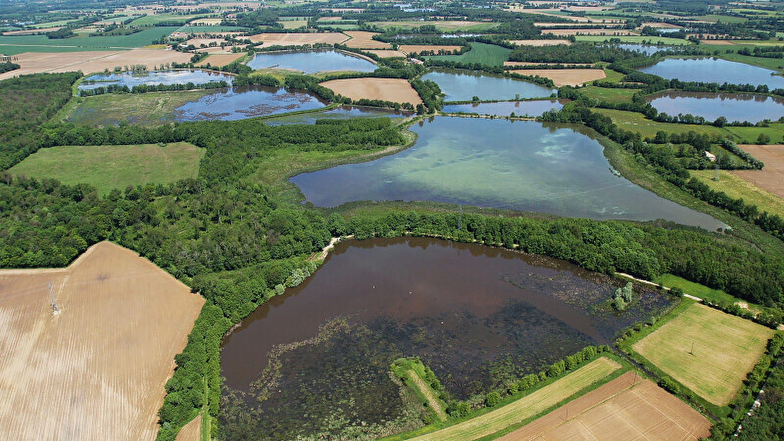 Itinérance L'Ain à Vélo - La Dombes, terre d'eau (4 jours)