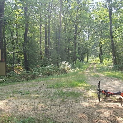 Circuit Gravel n°6 (rouge) Chemins des bois de Bresse