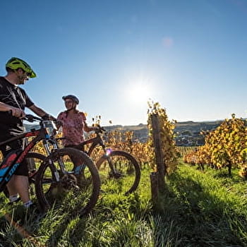 Les quatre points de vue - 57R - MANTRY