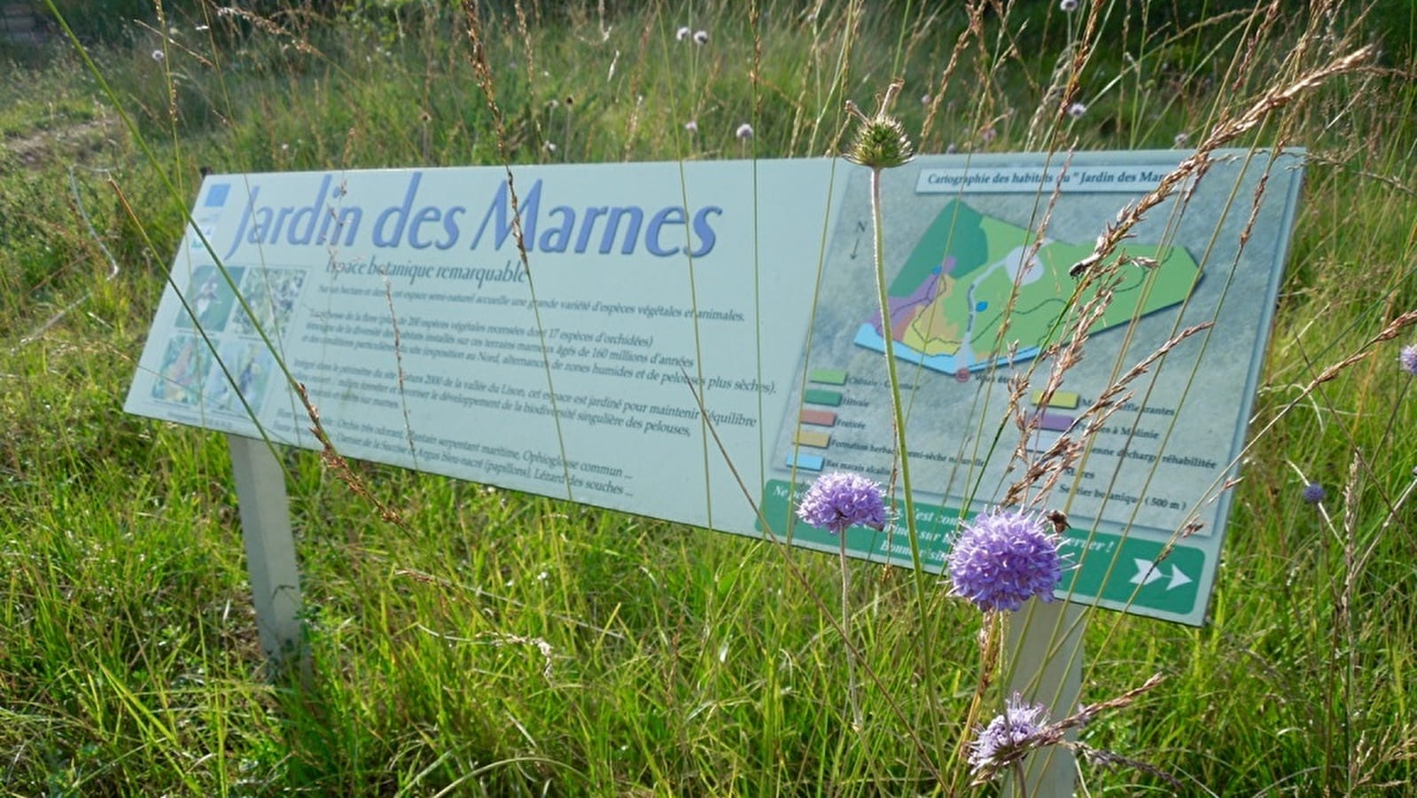 Sentier du Jardin des Marnes