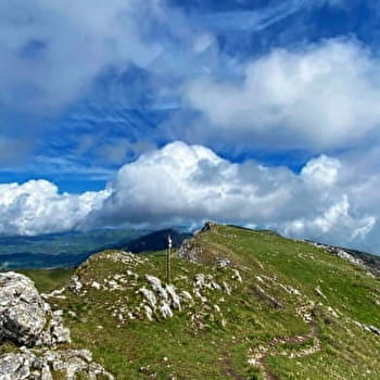 Randonnée pédestre : Circuit des crêtes du Grand Colombier - CULOZ
