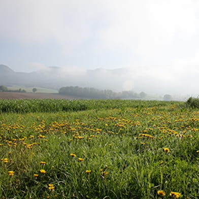 La Grange du Pin : Circuit pédestre n°1