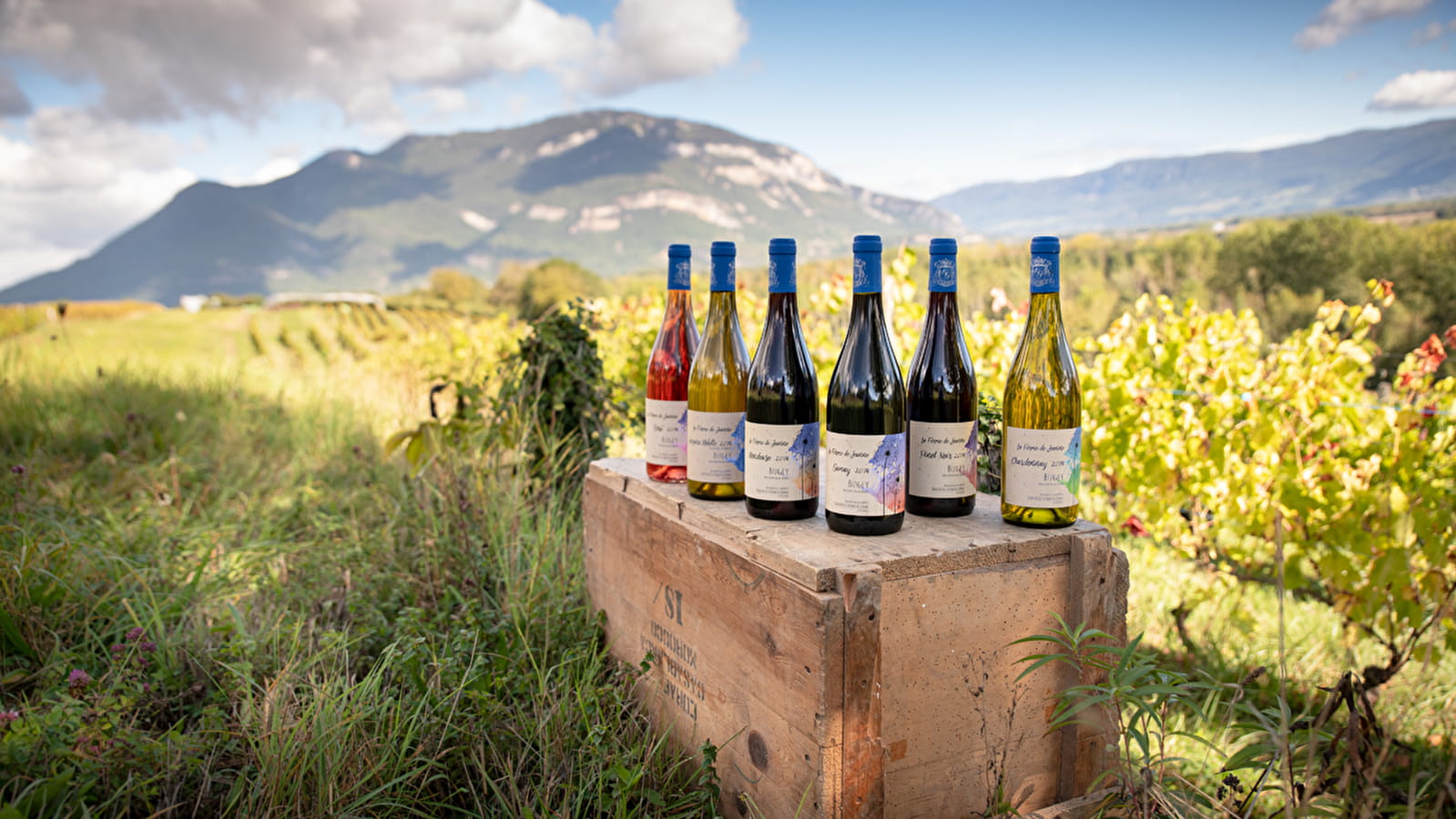 Domaine de la Ferme de Jeanne