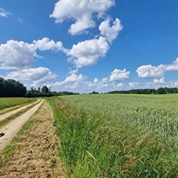 Circuit VTT-VTC n°28 (rouge) - Grand tour de Mépillat - Terres fortes de Cormoz - SAINT-NIZIER-LE-BOUCHOUX