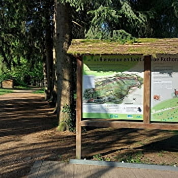 Circuits de randonnée pédestre de la forêt de Rothonne - BELLEY