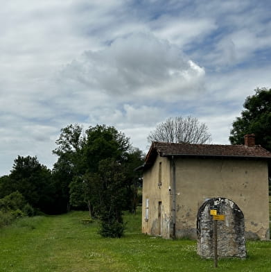 Balade Verte - La Ligne (VE1)