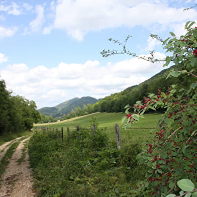 Randonnée - Tour des trois monts par les ruines de Montfort