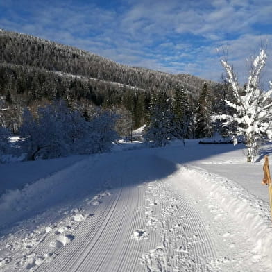 Piste multi-activités : les Septfontaines