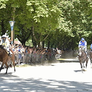 Course de la Bague - Fêtes de la Bague - SEMUR-EN-AUXOIS