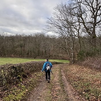Balade Verte - Le Chêne à La Dame (CH 1) - CHAROLLES