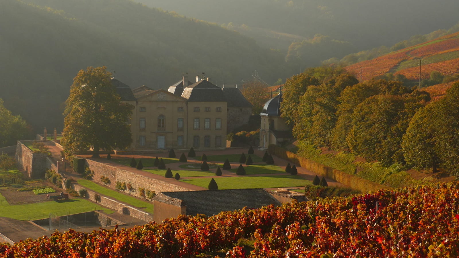 Circuit Feuille de vigne