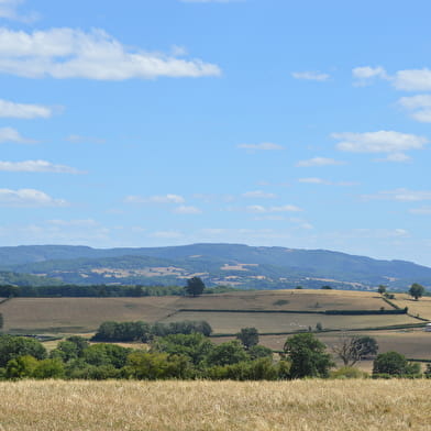 Sur les Hauteurs de Laizy