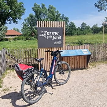 Liaison VTT-VTC (L3) Plaine Tonique - Mantenay - Ferme de la Forêt - MANTENAY-MONTLIN
