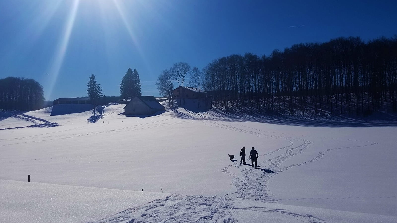 Itinéraire Raquettes du site de Lachat 'Les Orgières'