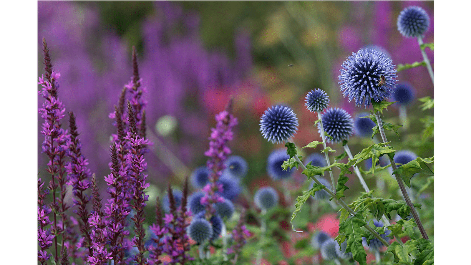 Circuit VTT n°21 / Nancray