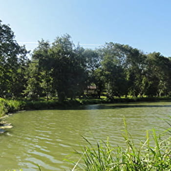 Randonnée - Le bocage de Cormoz & l'étang de Mépillat - CORMOZ