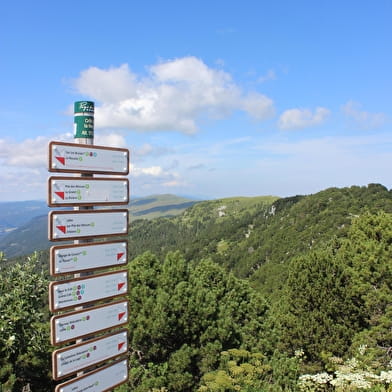 Randonnée pédestre : Crozet au Crêt de la Neige, en haut des cimes du Jura