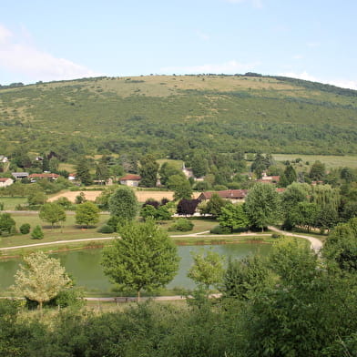 Circuit VTT n°11 (bleu) - Tour de la Forêt de la Motte - Site du Grand Brûle