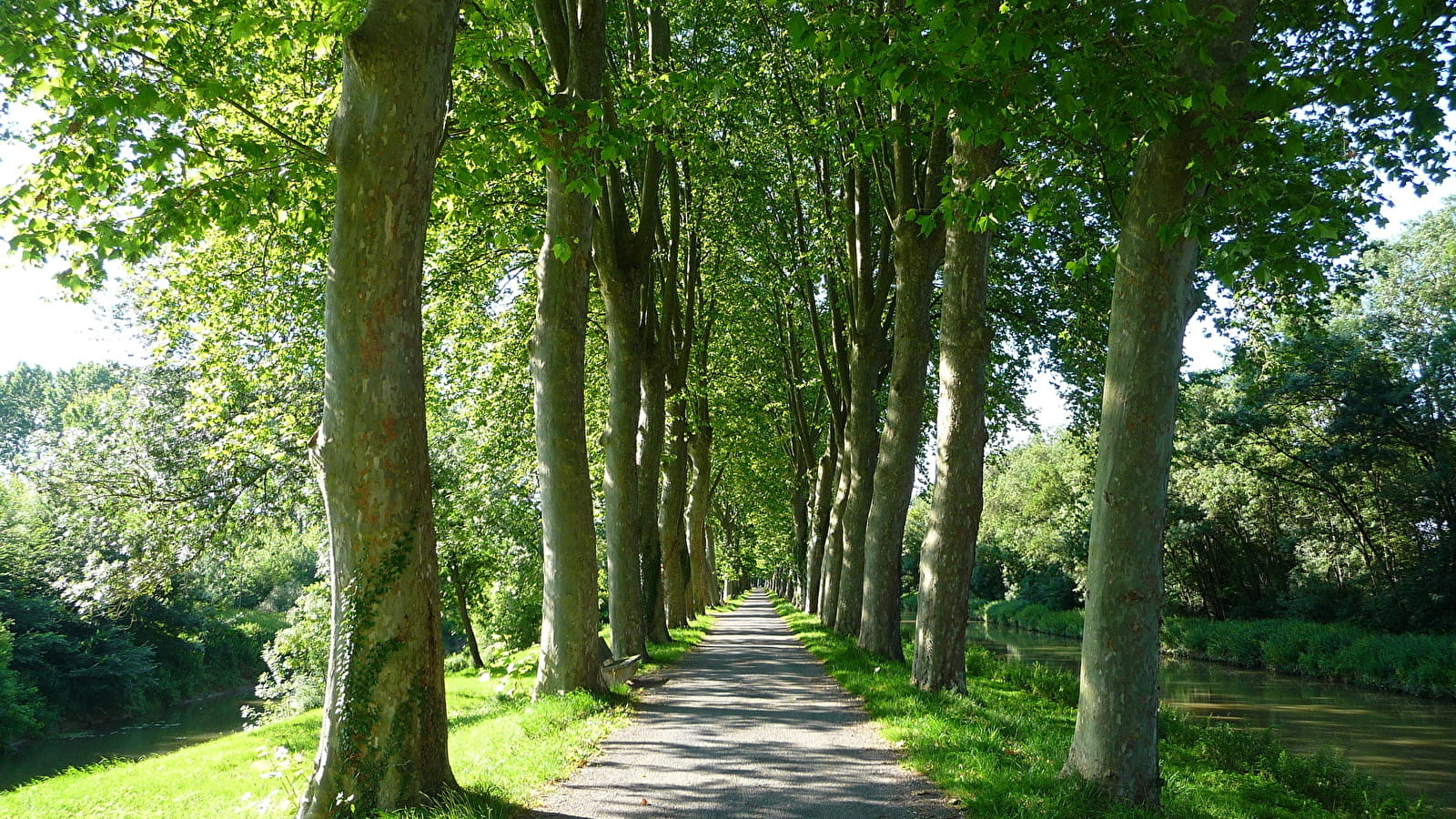 Circuit randonnée : La Nove