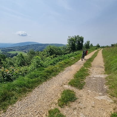 Circuit VTTAE n°9 et 10 Mont Myon - Plateau de Vergongeat