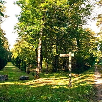 Bois des Fouchères - RECOLOGNE