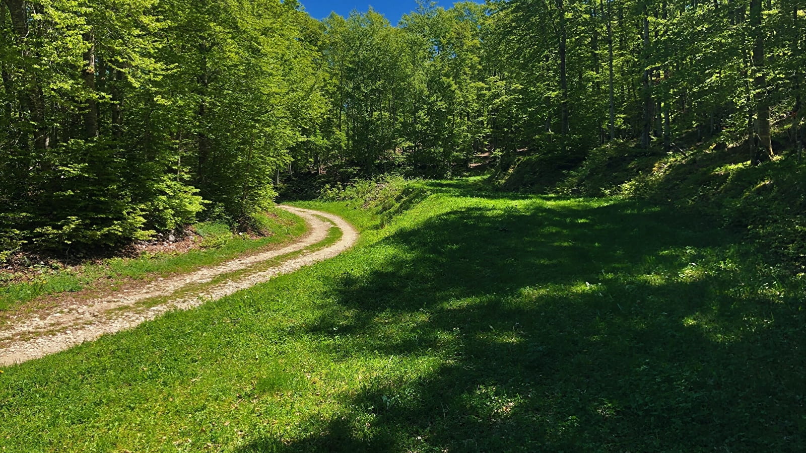 Parcours VTT 13 rouge - Le sud du Plateau de Retord - Espace FFC Ain Forestière