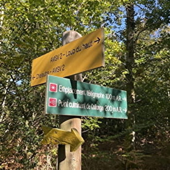 Sentier de la Résistance - COLLONGE-EN-CHAROLLAIS