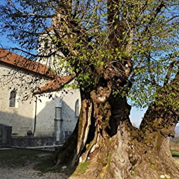 Le sentier du Pont Romain - VALSERHONE