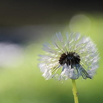 Sentier des Karsts - GENAY