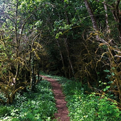 Randonnée pédestre : La chapelle Saint-Anne