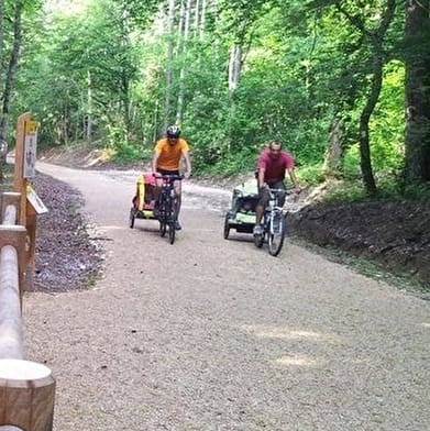 Parcours VTT 4 bleu - Le forêt de Rothonne - Espace FFC Ain Forestière