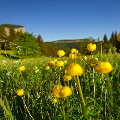 Tour du Bief de la Chaille - 15V
