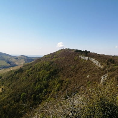 GR® de Pays - Tour de la Vallée de l'Ain au Pays du Cerdon