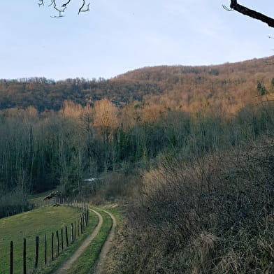 Balade nature : le sentier du Buizin