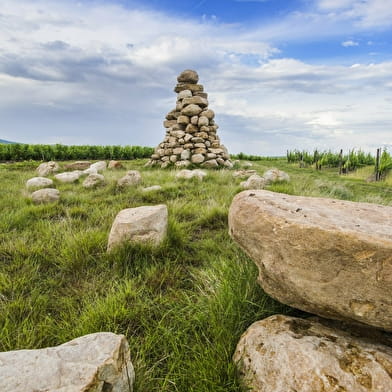 Micro aventure à la maison du terroir beaujolais et la Tour Bourdon