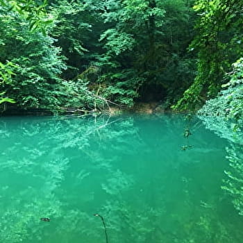 Circuit de randonnée pédestre : La vie du Loup - CHAMPAGNE-EN-VALROMEY