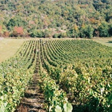 Varzy-Tannay-Clamecy 