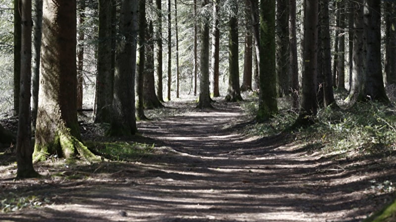 Côte Blanchard - n°24